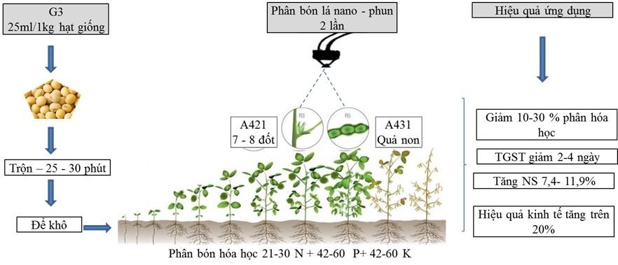 Chế phẩm xử lý hạt giống ứng dụng công nghệ nano
