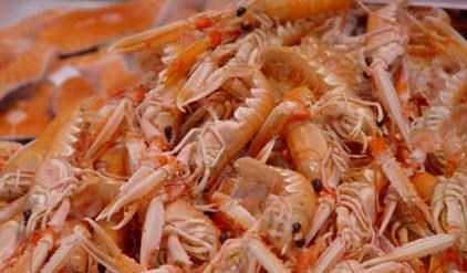 BẢO QUẢN NÔNG SẢN BẰNG MÀNG SINH HỌC CHITIN CHITOSAN