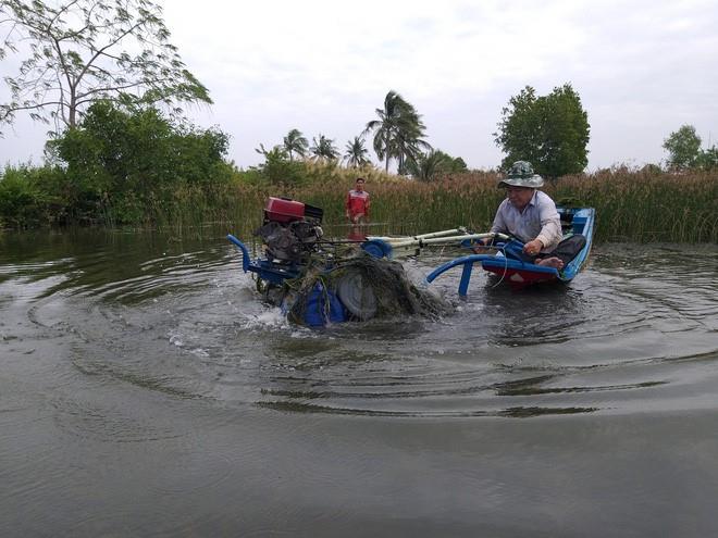 Máy cày phao nổi cho vùng đất ngập nước