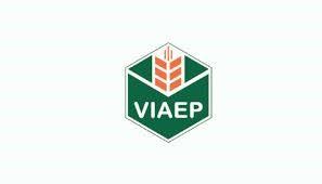 Máy cấy mạ thảm