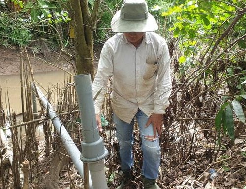 Hệ thống điều khiển thiết bị tưới thông minh
