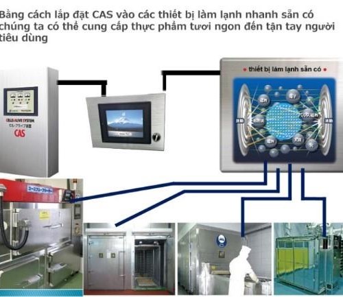 ỨNG DỤNG CÔNG NGHỆ CAS: PHƯƠNG PHÁP BẢO QUẢN NÔNG SẢN SAU THU HOẠCH